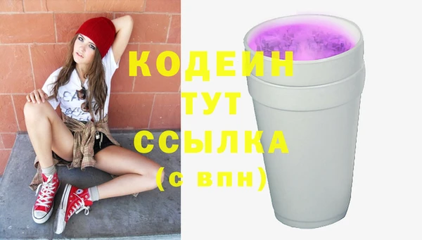 индика Баксан