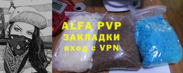 индика Баксан